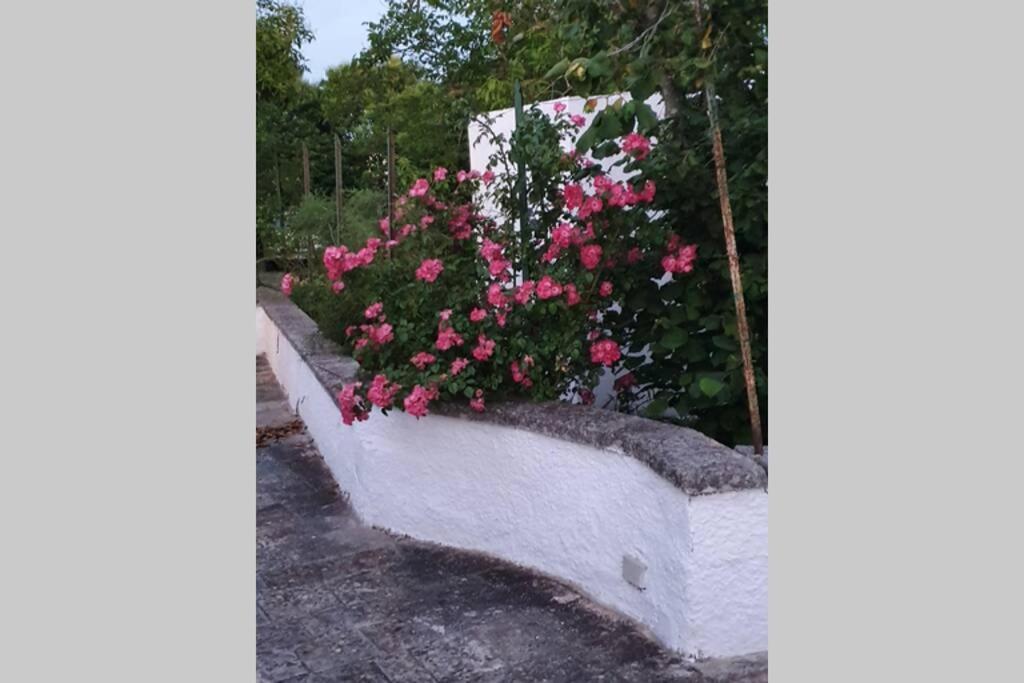 Villa Trulli Relax A Martina Franca Exterior foto