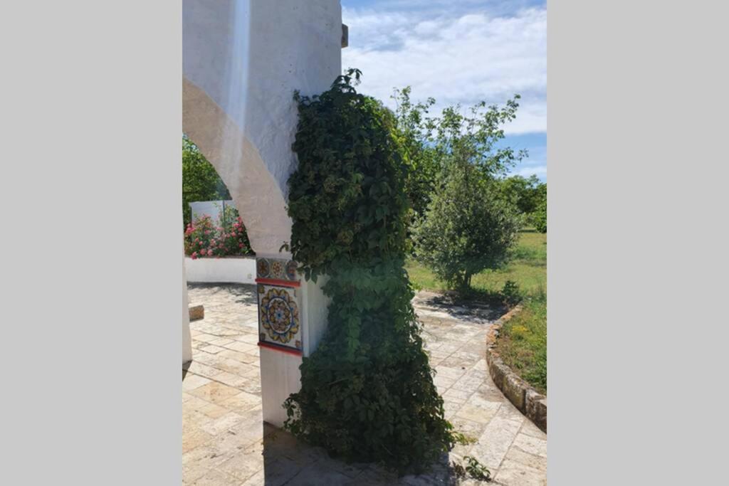Villa Trulli Relax A Martina Franca Exterior foto